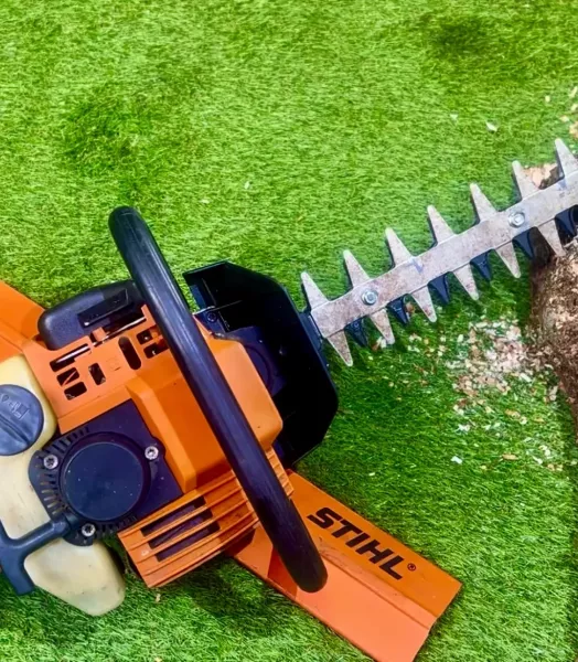 Taille haie stihl hs 80
