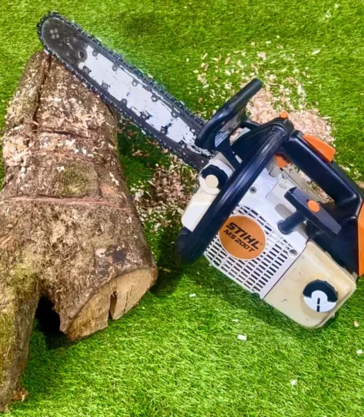 Tronçonneuse stihl ms 200T